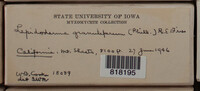 Image Associated With the Occurence